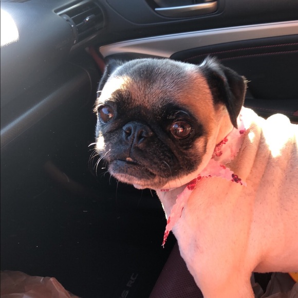 Meet your Posher, Kerry - Picture 1 of 1